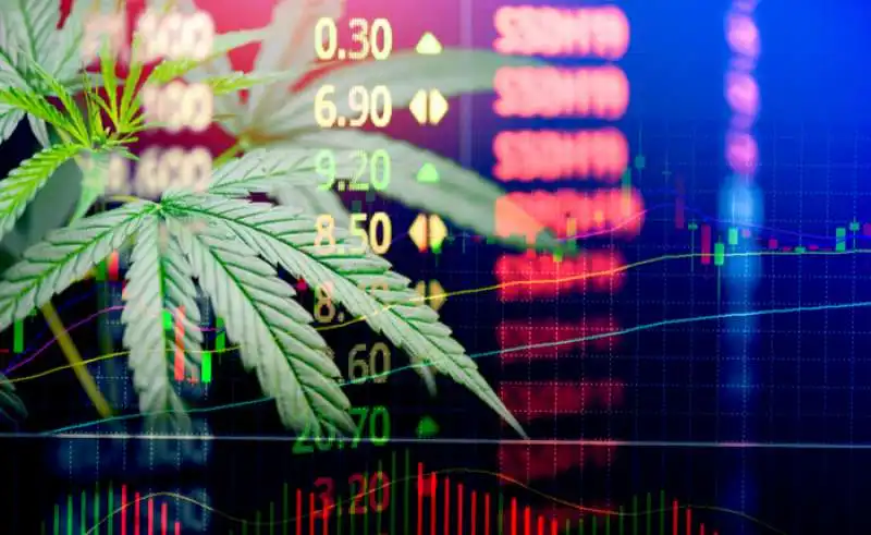 cannabis in borsa 