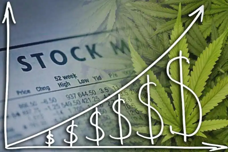 cannabis stocks 1