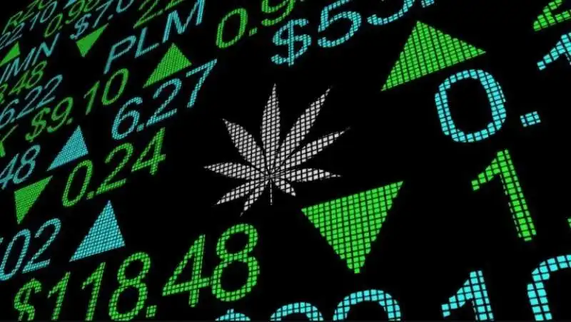 cannabis stocks 2 