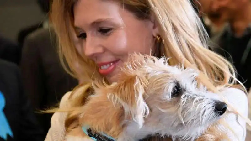 carrie symonds e il cane dilyn 5