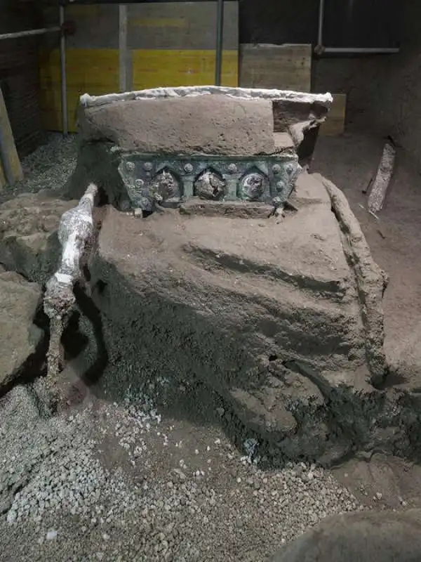 carro da parata ritrovato a pompei 8