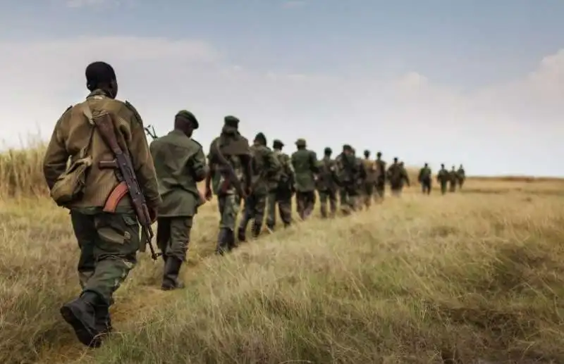 fdlr foca   forze democratiche per la liberazione del ruanda