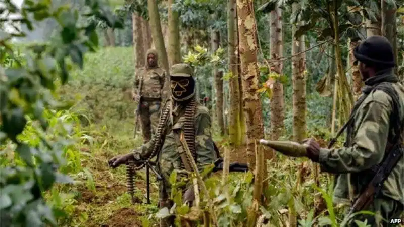 fdlr foca   forze democratiche per la liberazione del ruanda 2