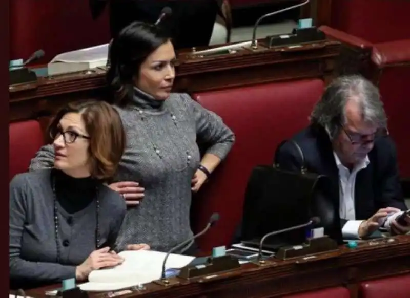 GELMINI CARFAGNA BRUNETTA