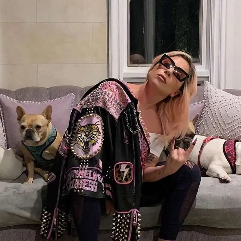 lady gaga con i cani koji e gustav  