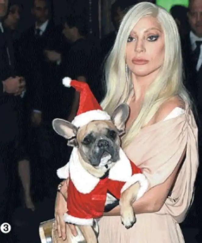 lady gaga con il suo cane 