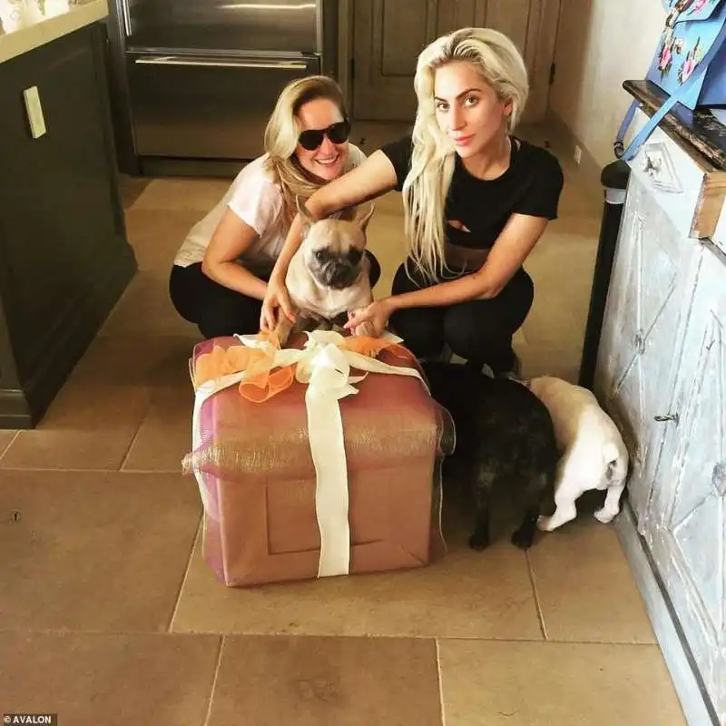 lady gaga per il compleanno del suo cane koji 