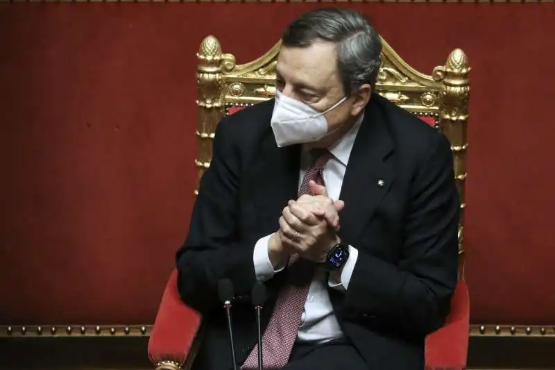 mario draghi al senato 