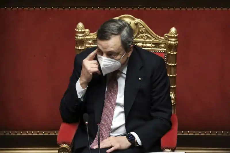 mario draghi al senato  2