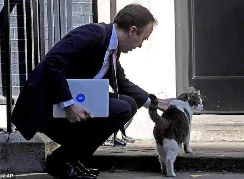 matt hancock e larry the cat