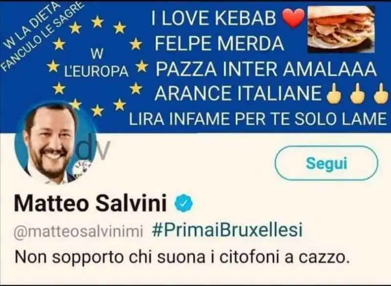 salvini europeista meme  