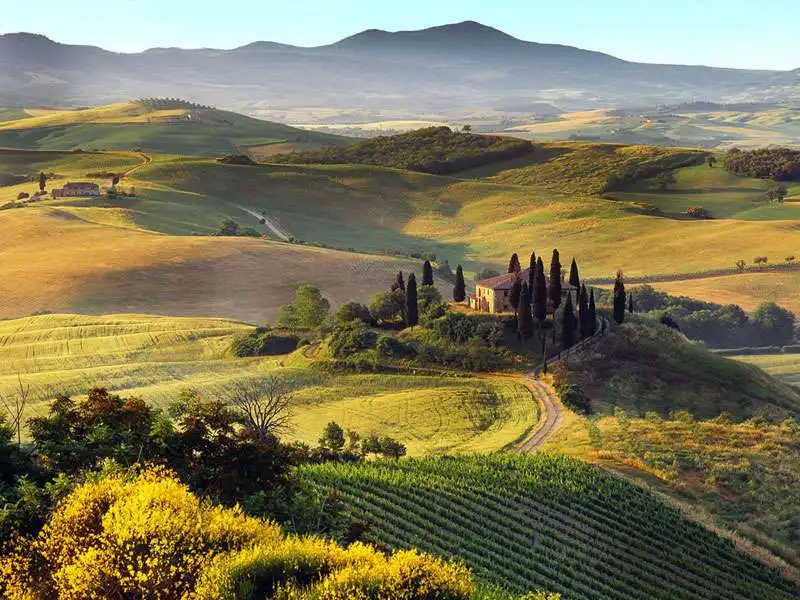 TOSCANA 