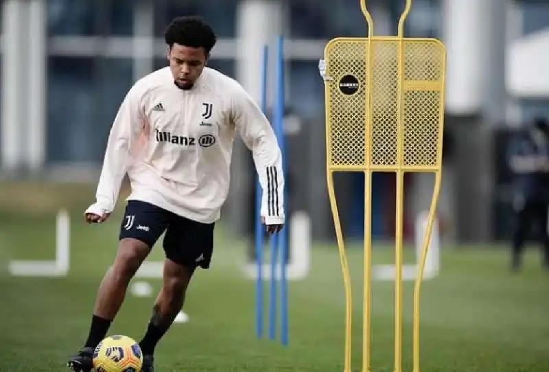 weston mckennie