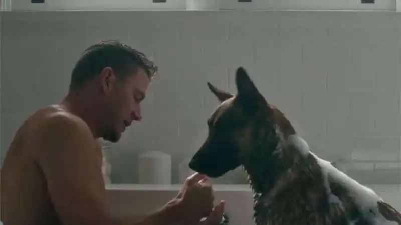 channing tatum   dog 3