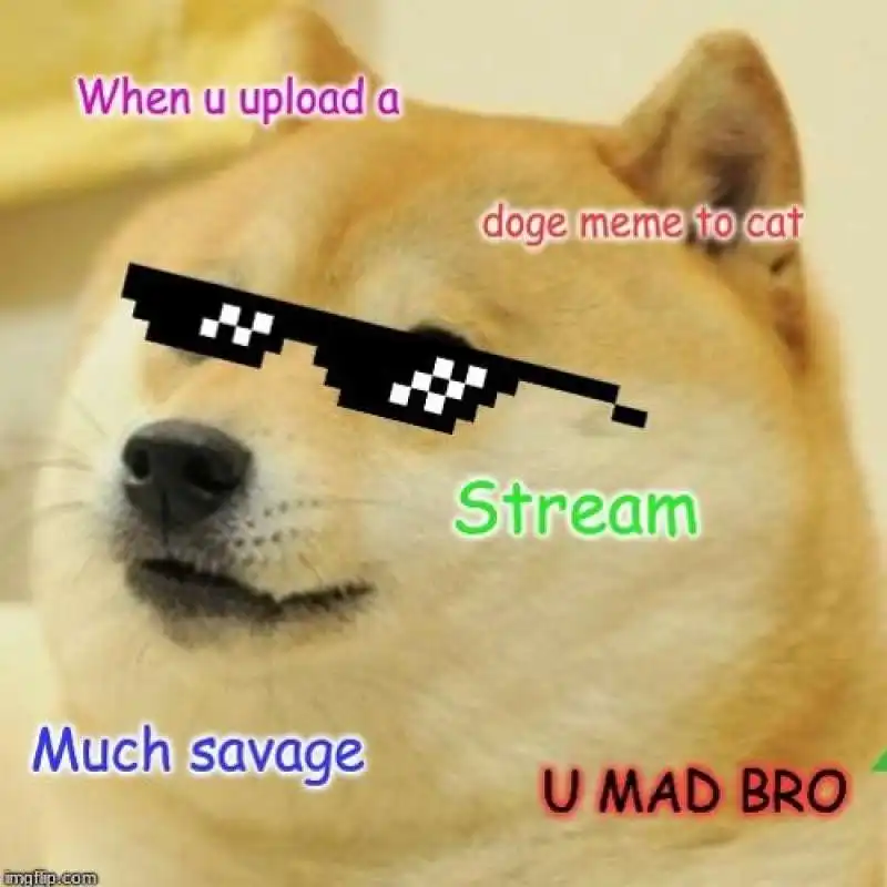 meme dogecoin 10