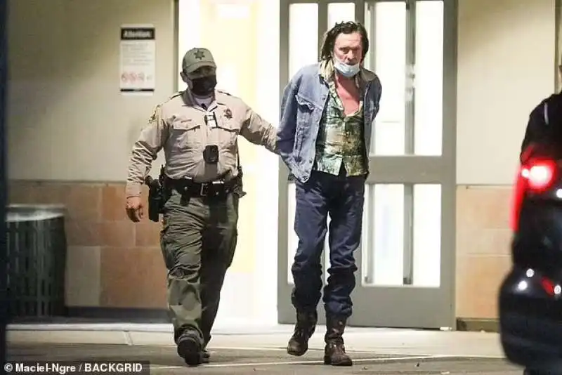 Michael Madsen arrestato 5