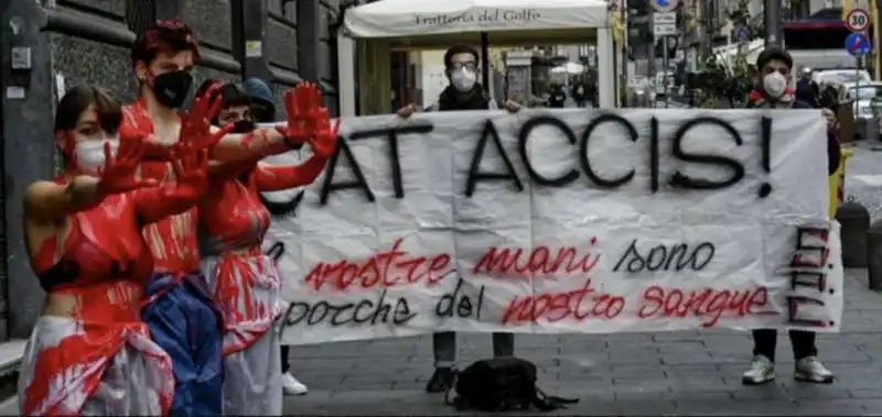 protesta degli studenti a napoli   1