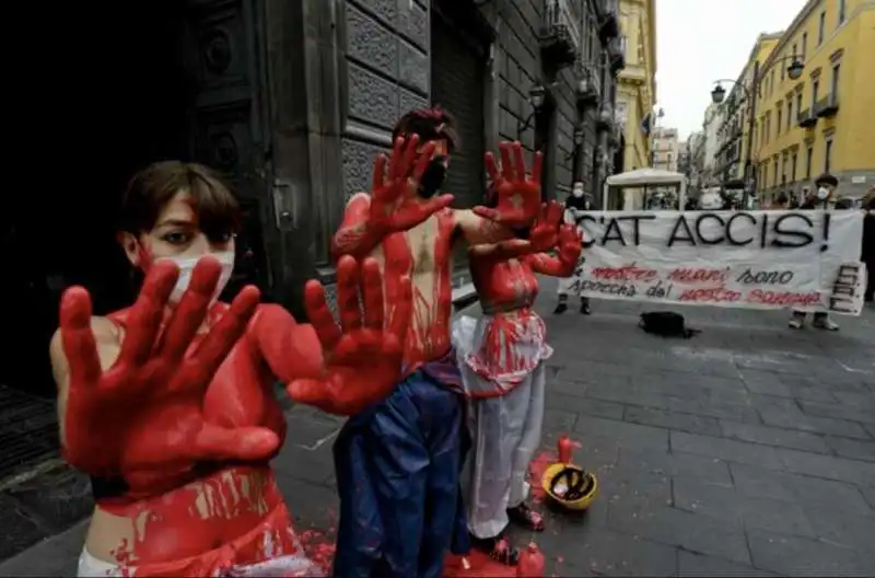 protesta degli studenti a napoli   4