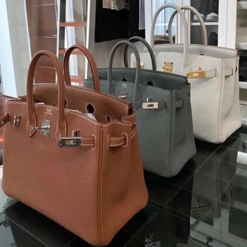 birkin di hermes  6