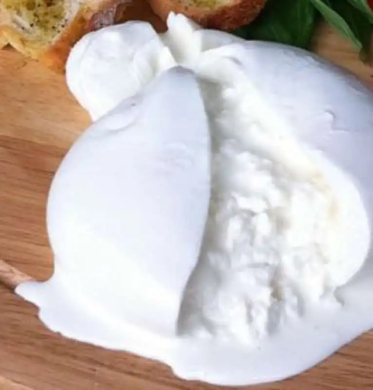 burrata 