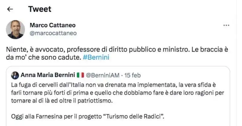 commento al tweet di anna maria bernini sui cervelli in fuga 