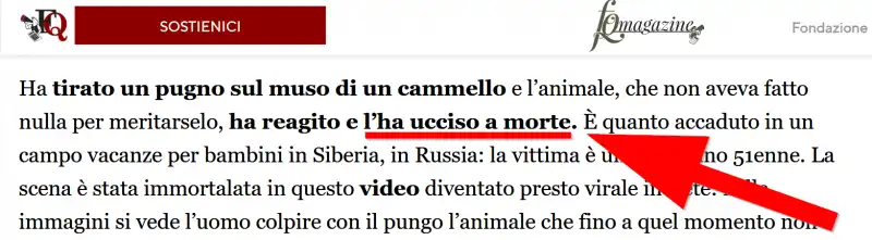 Fatto Quotidiano, ucciso a morte