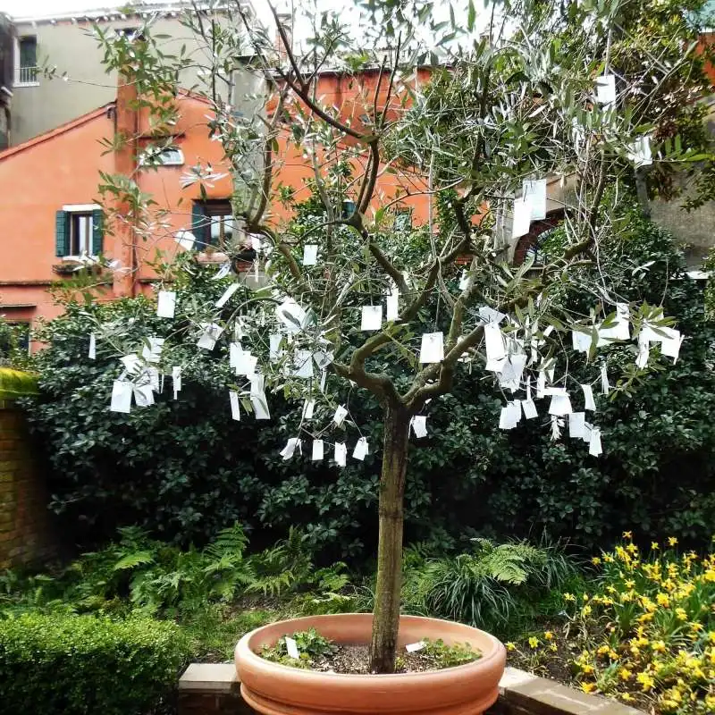 L ALBERO DEI DESIDERI DI YOKO ONO PER PEGGY GUGGENHEIM 