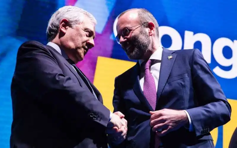 antonio tajani   manfred weber   congresso forza italia 