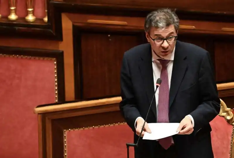 GIANCARLO GIORGETTI - QUESTION TIME SENATO