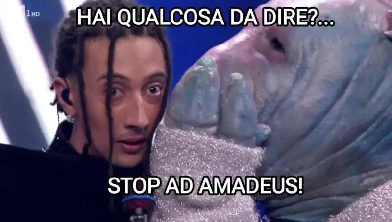 MEME SU GHALI E AMADEUS