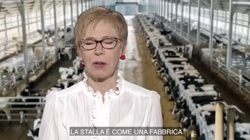 proteste degli agricoltori   milena gabanelli 8