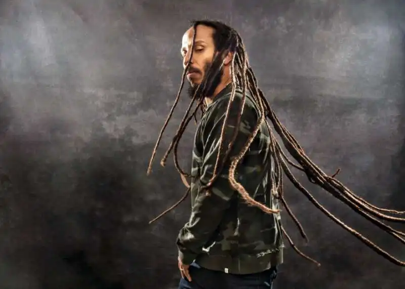 ziggy marley 3