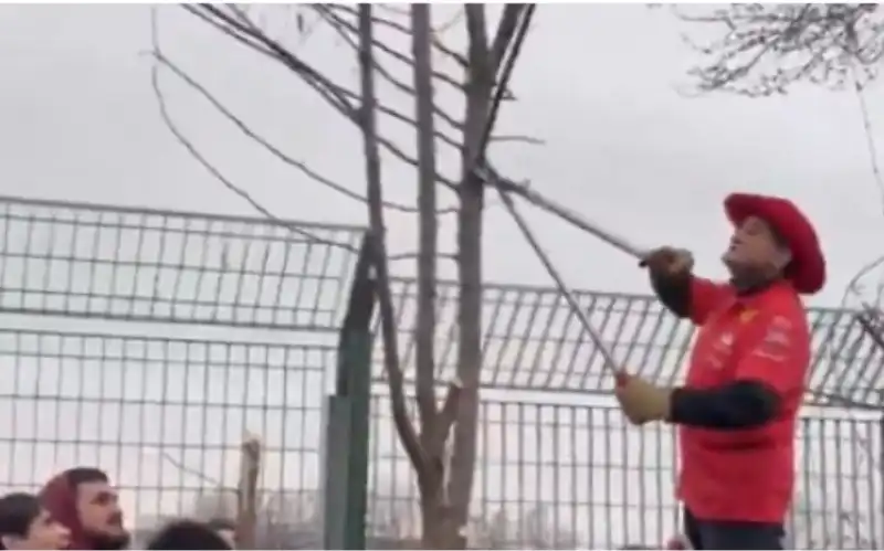 tifoso ferrari taglia albero per vedere le prove a fiorano