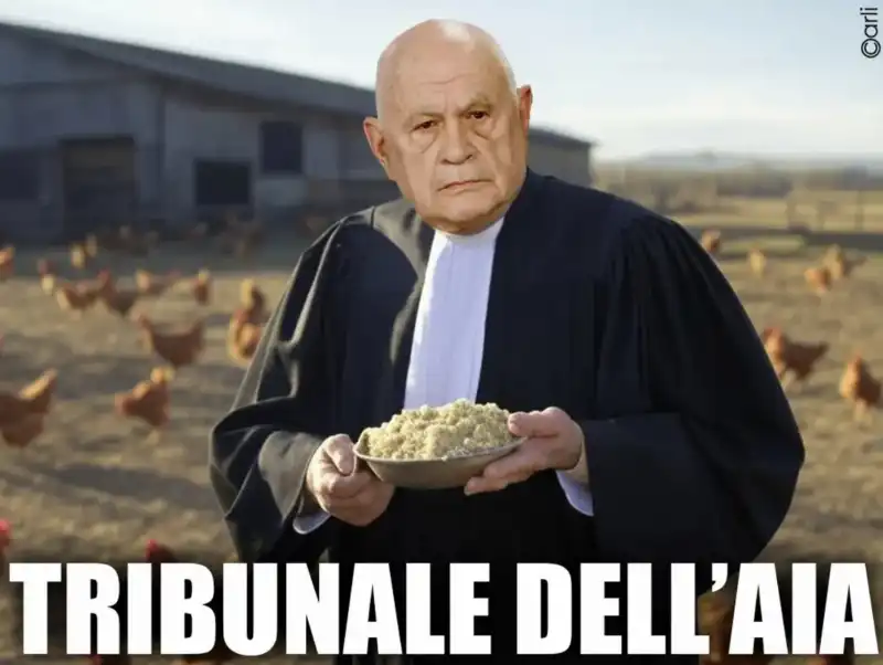 TRIBUNALE DELL'AIA - MEME BY EMILIANO CARLI 