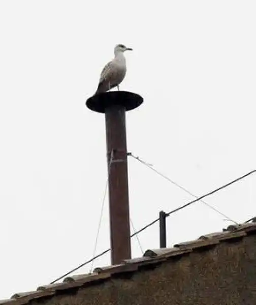 PIAZZA SAN PIETRO ATTESA PER IL NUOVO PAPA 