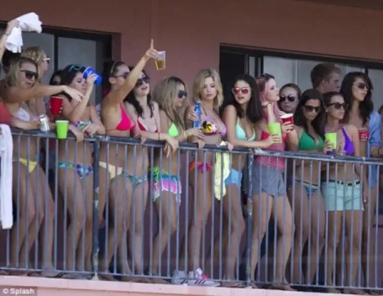 spring breakers 