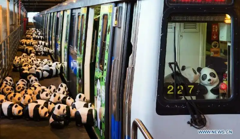 installazione di panda a Taipei 