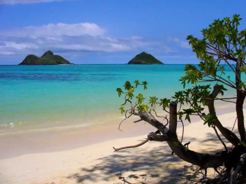 Lanikai Beach alle Hawaii 