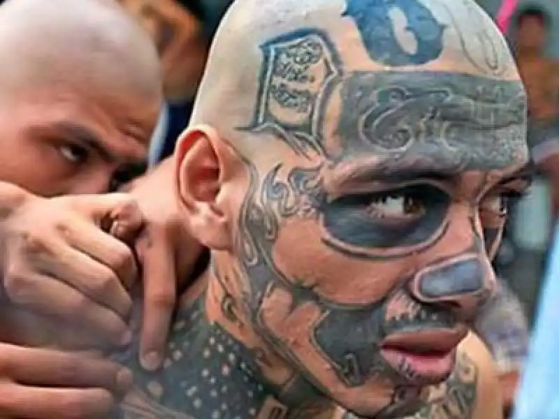 La Mara Salvatrucha sono centroamericani 