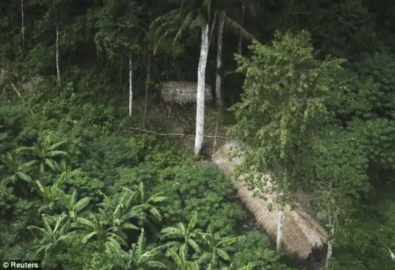 LA TRIBU MANGIA MAIS E BANANE 