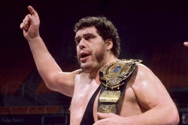 andre the giant 