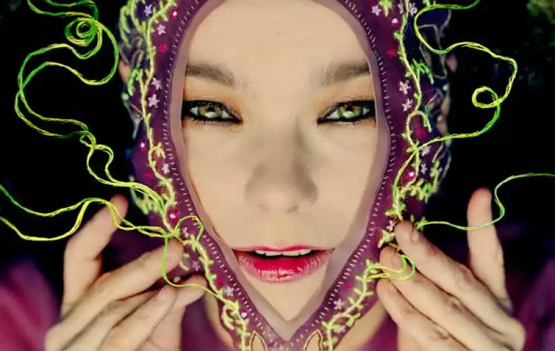 bjork al moma 