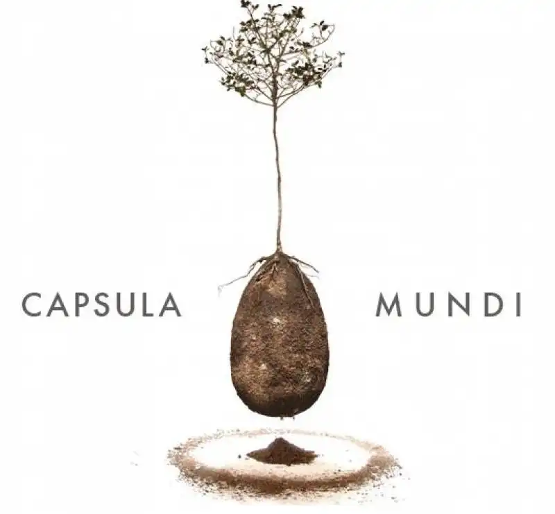 capsula mundi