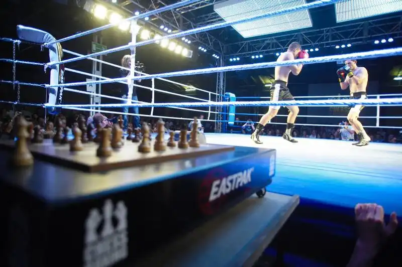 chessboxing  6