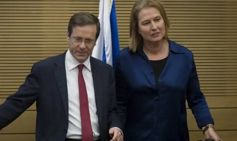 HERZOG LIVNI 