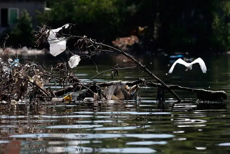 inquinamento a guanabara bay