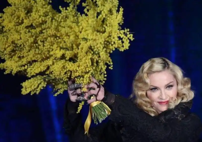 madonna da fazio con le mimose una settimana prima