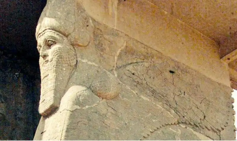 nimrud 3