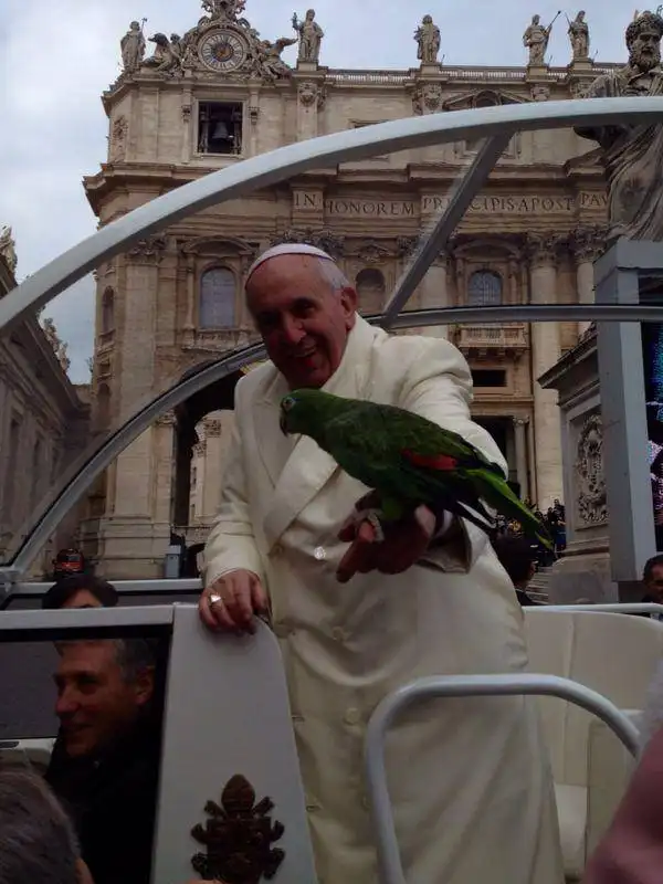 papa francesco con il pappagallo amore