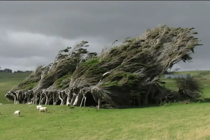 slope point, nuova zelanda